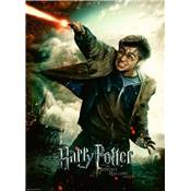 RAVENSBURGER - Puzzle - 100p XXL : Le Monde Fantastique Harry Potter